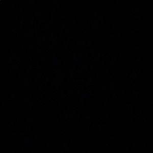 Meet your Posher, Rick